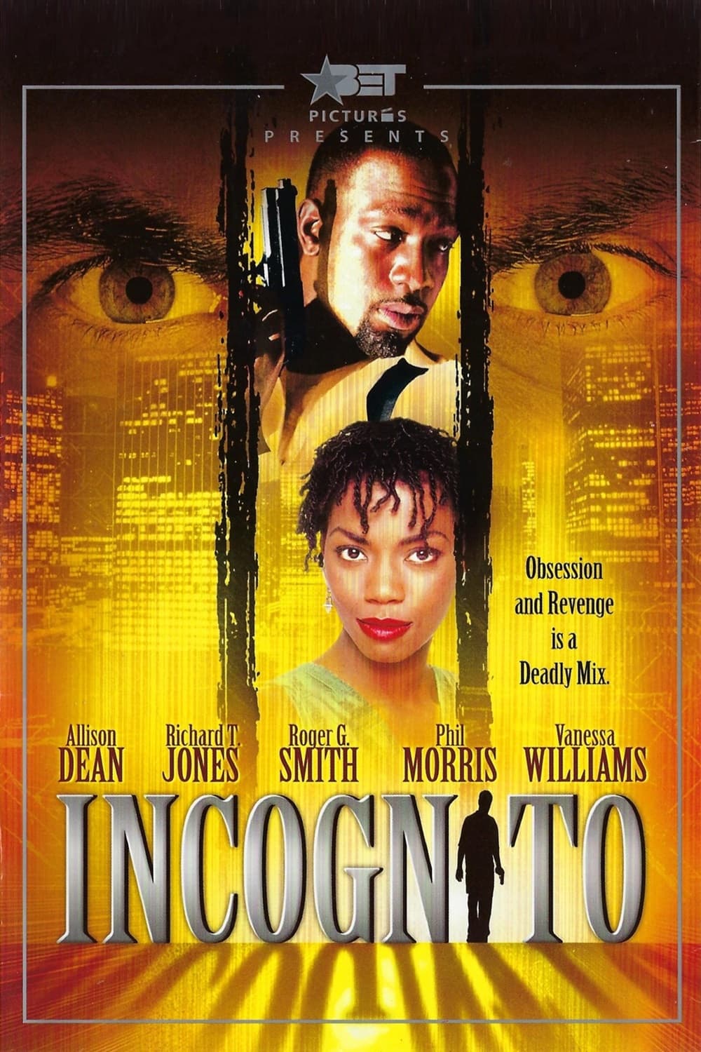 Постер Incognito